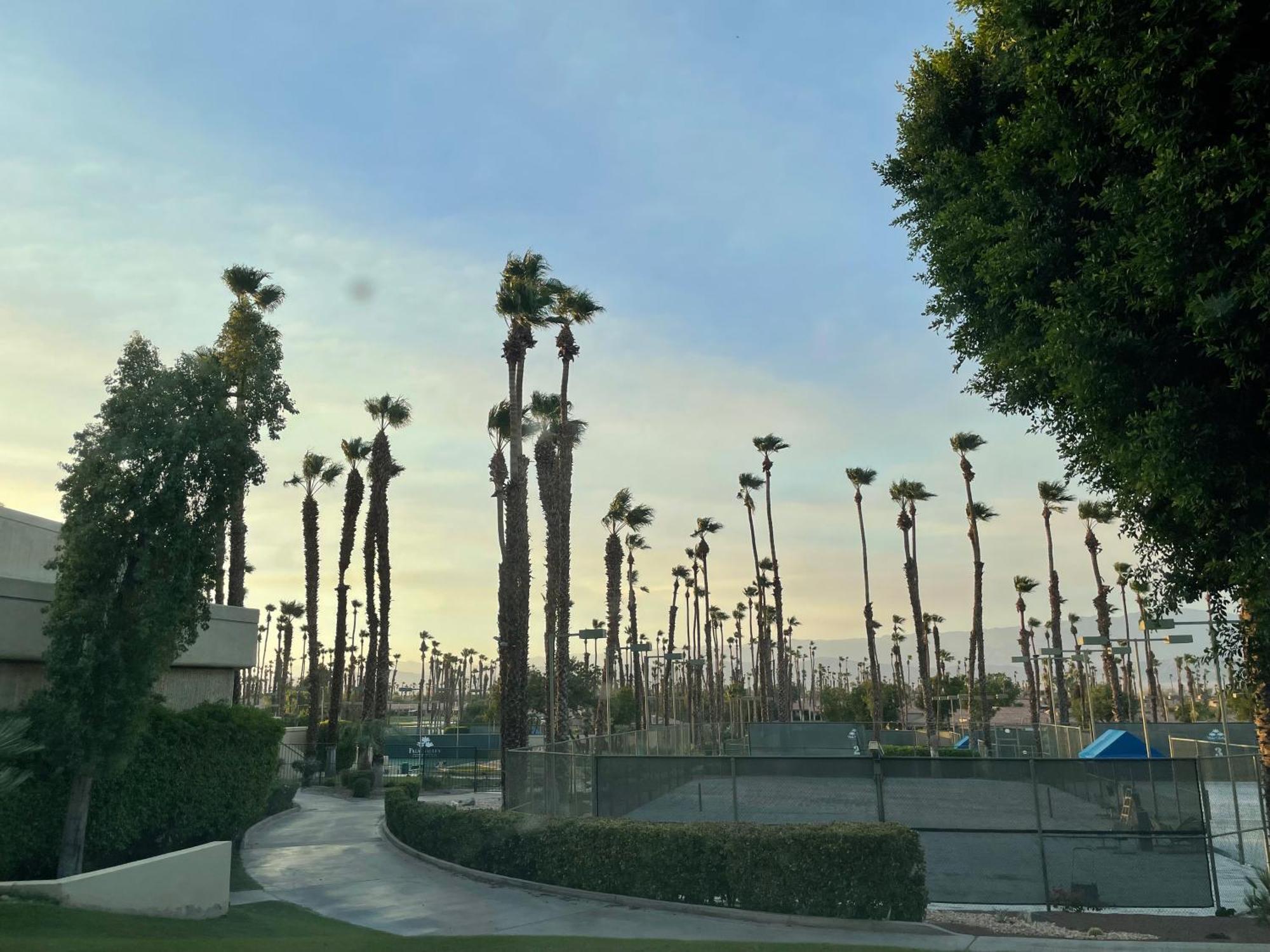 Palm Valley Cc Pickleball, Tennis, Gym, Clubhouse, Swimming Pools, Lux, Spac 2 Bdrms Den 2 Ba Palm Desert Eksteriør billede
